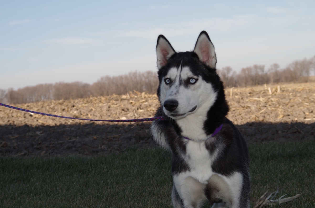 Zoey